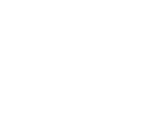 main-light-logo