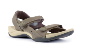 The Evolution of Skechers: From Colorful Sandals to Performance Footwear