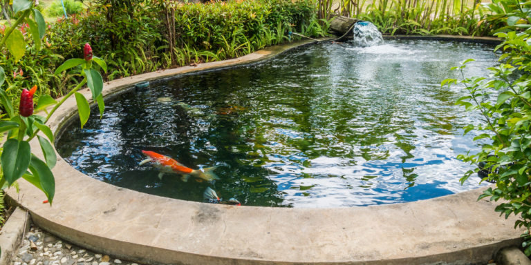 What is a pond liner and what are some questions related to it?