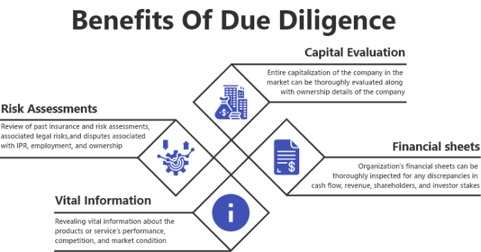 company due diligence