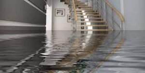 WATER DAMAGE RESTORATION