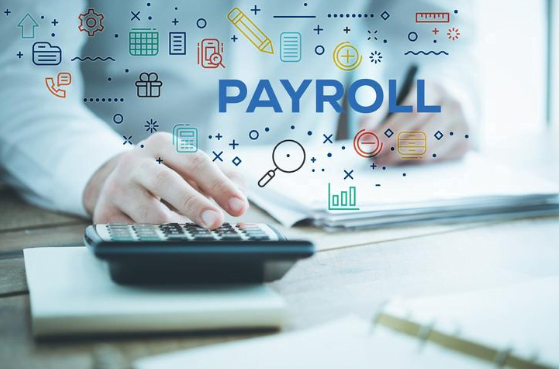 Payroll Analytics: Leveraging Data for Better Decision-Making in Any Industry