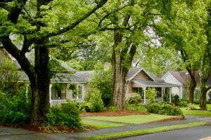 Unveiling the Hidden Dangers Lurking in Your Alpharetta Backyard Trees