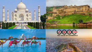 What is Most Wondering about Golden Triangle India Tour?