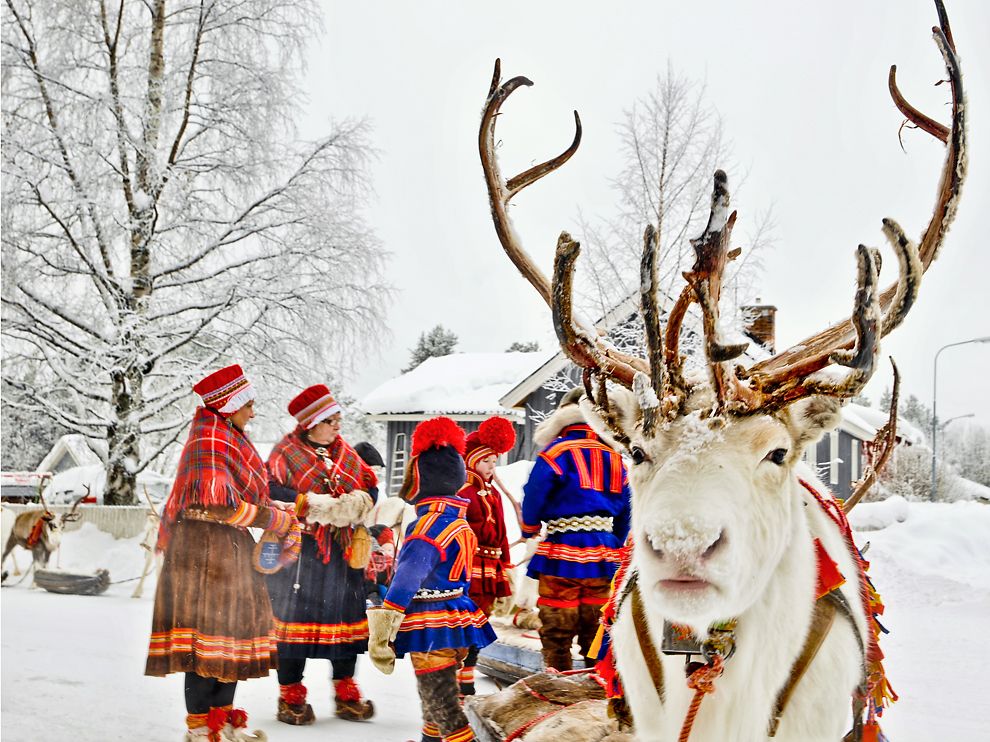 Dive into the Rich Sami Culture with Our Cultural Retreat Glamping Experience