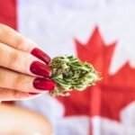 Marijuana-Legalization-Buy-Weed-Online-in-Canada-at-Green-Society