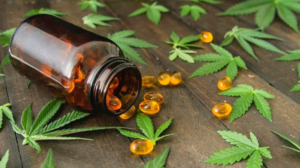 CBD Oil Capsules: A Convenient and Precise Way to Experience the Benefits of CBD