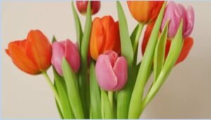 Surprising Benefits of Sending a Get Well Soon Fruit Basket Delivery
