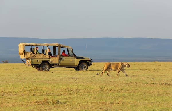 Thrilling Safari in Maasai Mara
