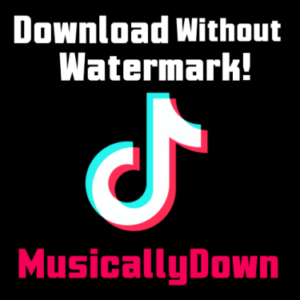 Unlock the Power of Snaptik App: Effortless TikTok Video Saving