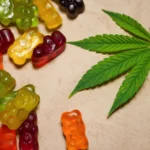 Why CBD Gummies Are a Popular Choice for Pain Management
