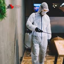 How to Maintain a Mold-Free Environment on Your Commercial Property?