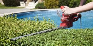 Factors to Look for When Buying a Hedge Trimmer