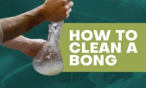 How to Properly Clean Any Type of Bong