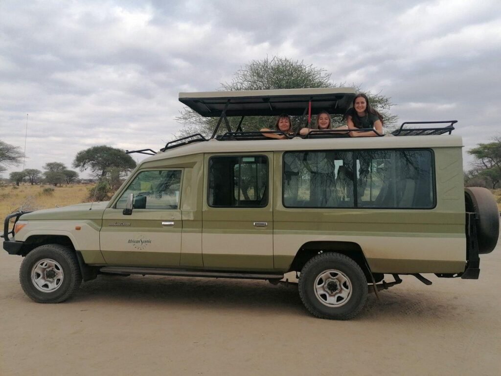 HOW TO EXPERIENCE TANZANIA SAFARI PACKAGES AS AN USA TRAVELER?