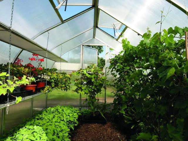 Benefits of Installing a Greenhouse