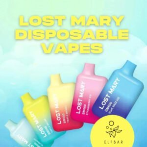 Things about the Lost Mary BM600 Disposable Vape | Ninja Vapes