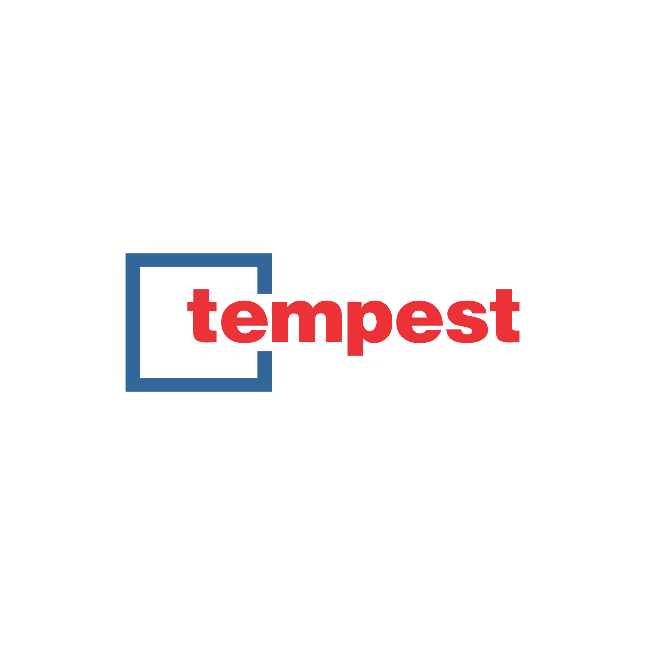 Client Stories: Successes with Tempest Digital