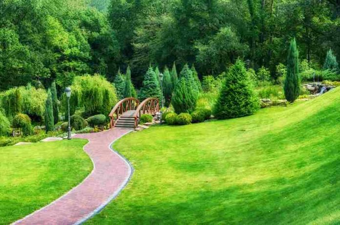 The Power of Commercial Landscaping and Landscape Edging in Phoenix