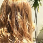 Natural_Shades_Top