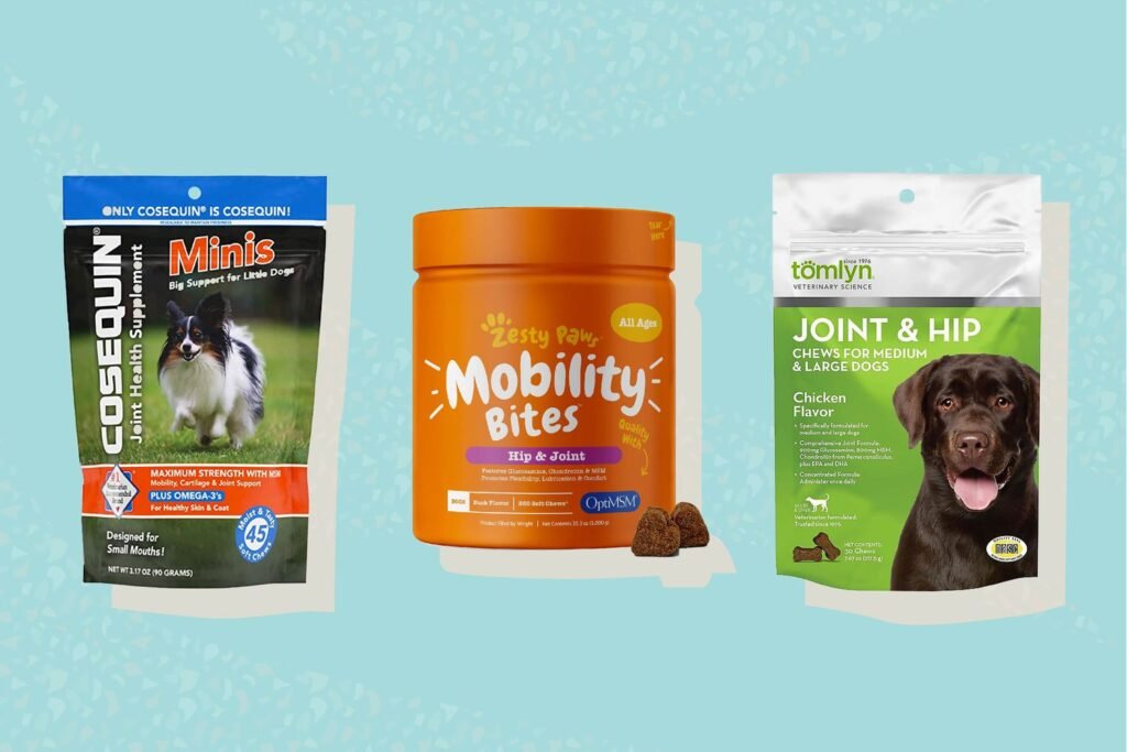 Get the Best Joint Supplement for Dogs and Make Them Healthy