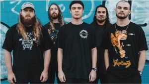 Exploring The Powerhouse: Knocked Loose Decoded