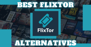 Gomovies, Flixtor, and the World of Online Movie Streaming