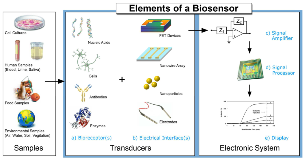 Electrochemical sensors Explained: An Introduction to the Future of Sensing