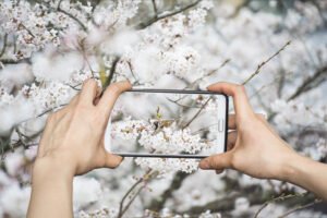 iPhones in Japan: The Unmissable Shutter Sound and Cultural Significance