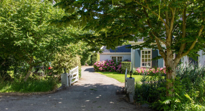 Eco-Friendly Driveway