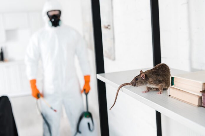 Exterminators: Masters of Pest Control