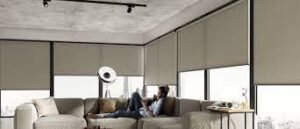 Blinds: The Promise of Privacy, Style and Comfort—All In One