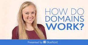 Who Owns Domain Names? – Let’s Solve the Mystery