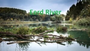 Exploring the Eerd River: Nature’s Hidden Gem
