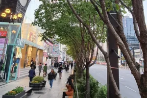 Guide to Gangnam Shopping Street 2023 – Where to Buy?