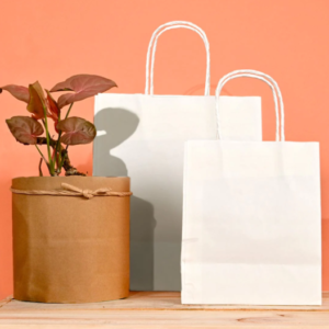Celebrating Sustainability: The Versatility and Eco-Friendly Charm of White Paper Bags