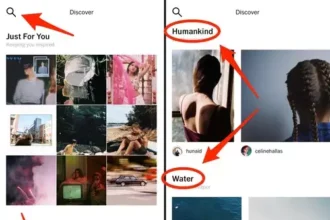VSCO Search