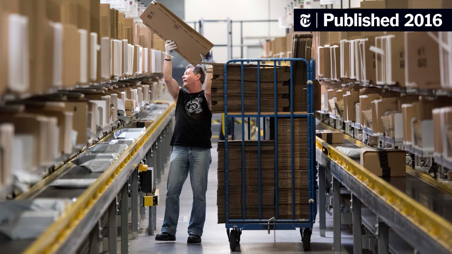 Amazon’s Profit and Loss Statement: A Year-to-Year Analysis