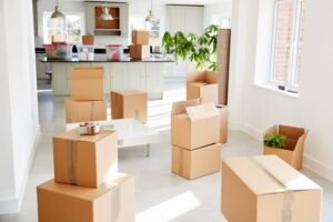 Streamlining Your Move: Chicago Movers Offer Expert Tips and Services