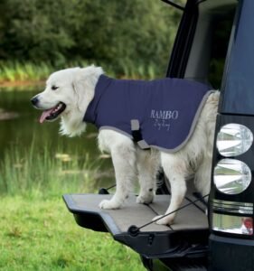 The Ultimate Guide to Selection of Gorgeous Dog Coats