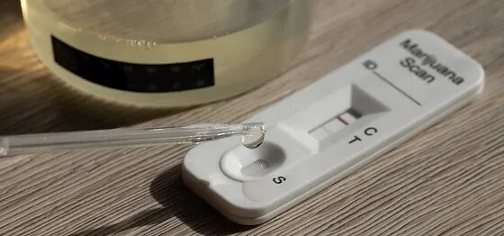 Why ETG Test Strips from 12 Panel Now Are the Game-Changer in Alcohol Testing