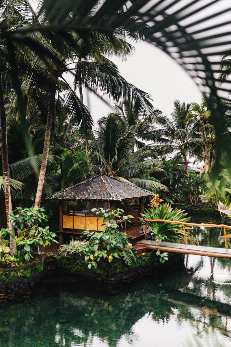 8305c6537a0356d1823f2b25713b6a30