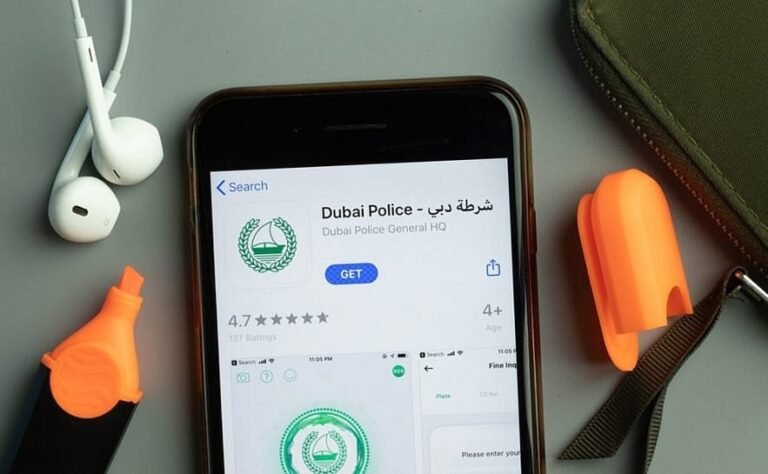 Traffic Fine Payment Methods in Dubai