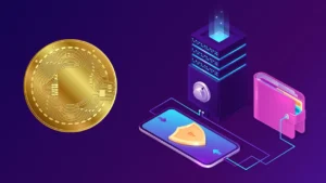 Crypto Wallet Recovery