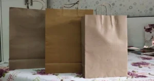 The Eco-Friendly Elegance of Paper Bags: Unveiling Their Importance