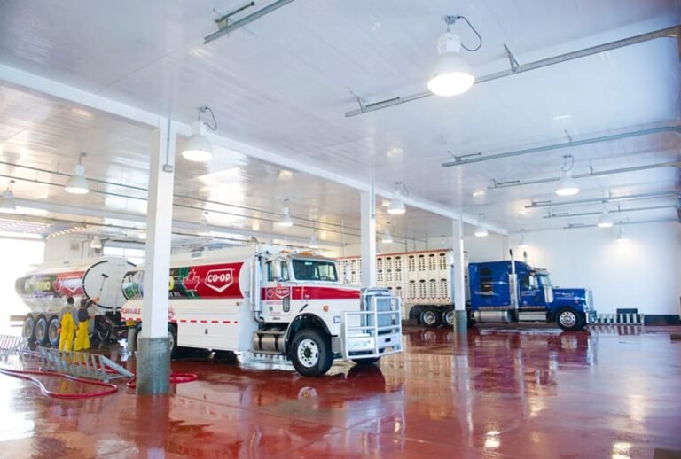 PVC Panels vs. FRP Panels: The Ultimate Showdown for Car Wash Facilities 