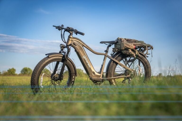 Discover the Ultimate Adventure Companion: Young Electric E-Flow 750W Folding eBike