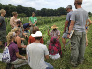 How MSU is Leading the Way in Local and Global Food Sustainability