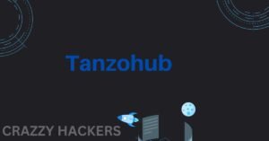 What is Tanzohub?