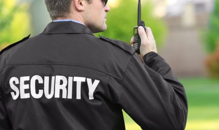 Why Professional Security Services Matter?